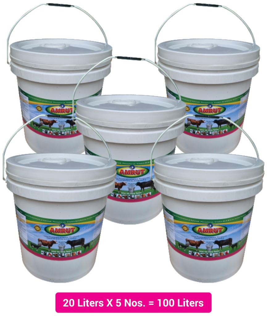 Amrut Liquid Supplement of Calcium