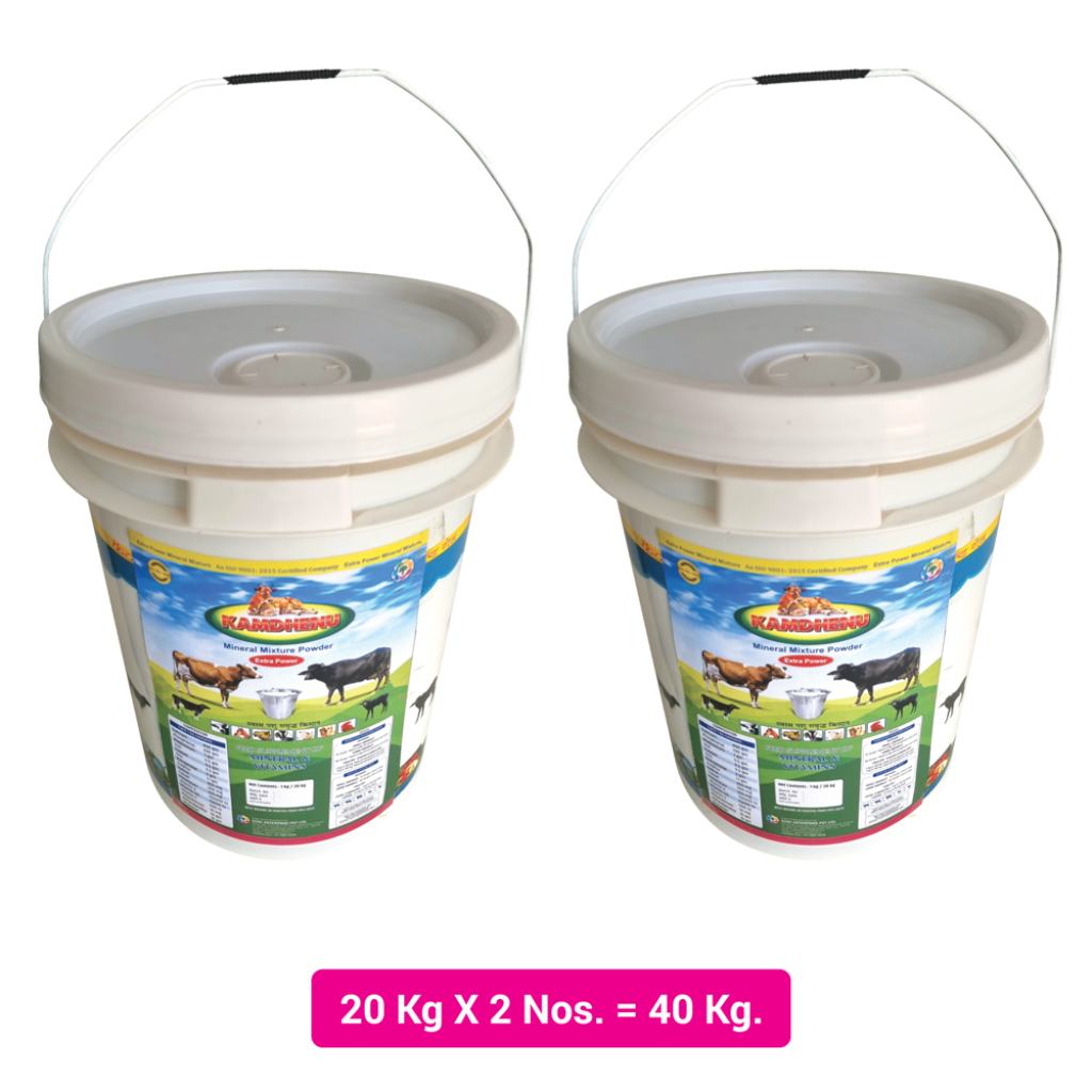 EcDc KAMDHENU Mineral MIxture Powder - Animal Feed