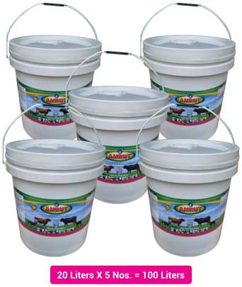 Amrut Liquid Supplement of Calcium